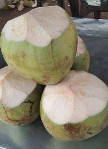 Patty fresh coconut